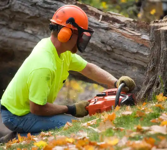 tree services Oran